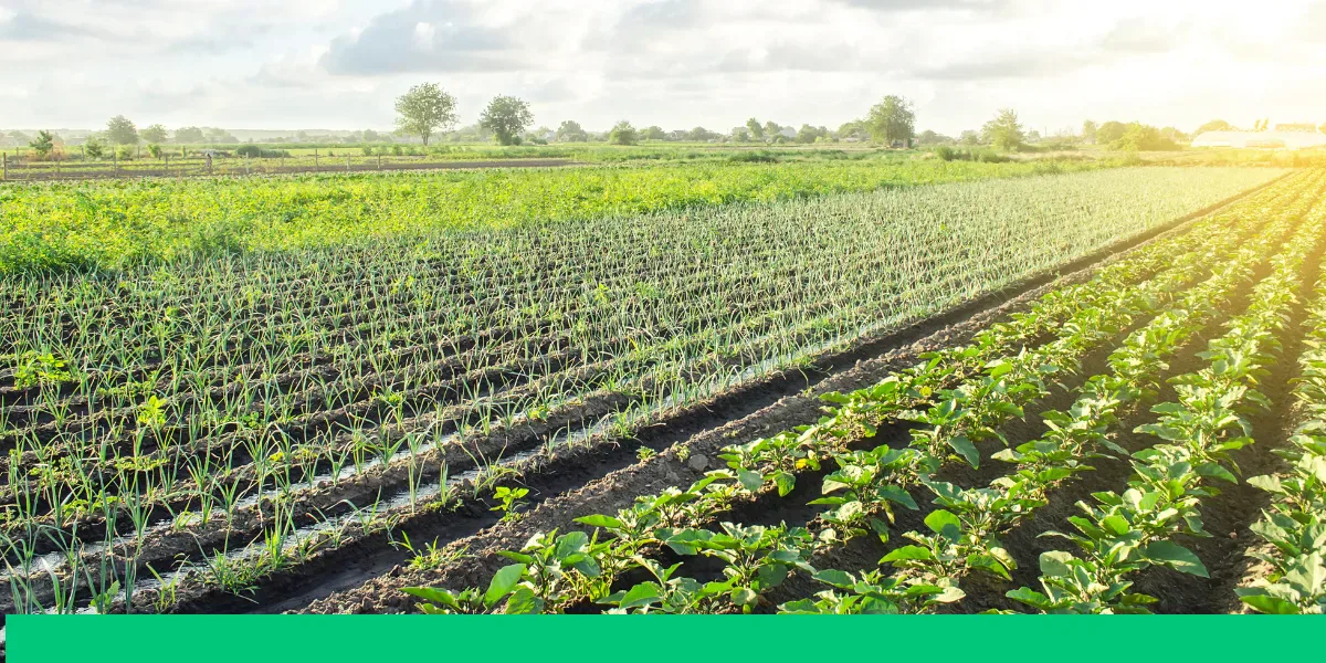 Tendências do agronegócio na imprensa brasileira em 2022