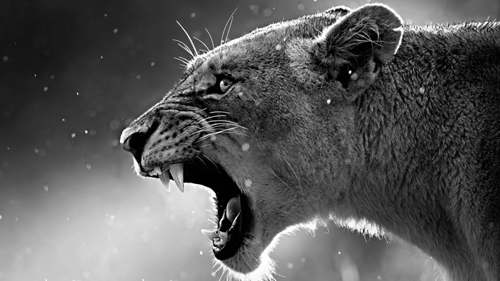 Descubra 4 atitudes incríveis que melhoram a produtividade na empresa de assessoria