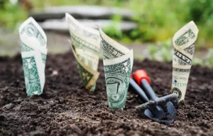 monitoramento online