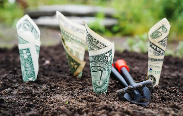 monitoramento online